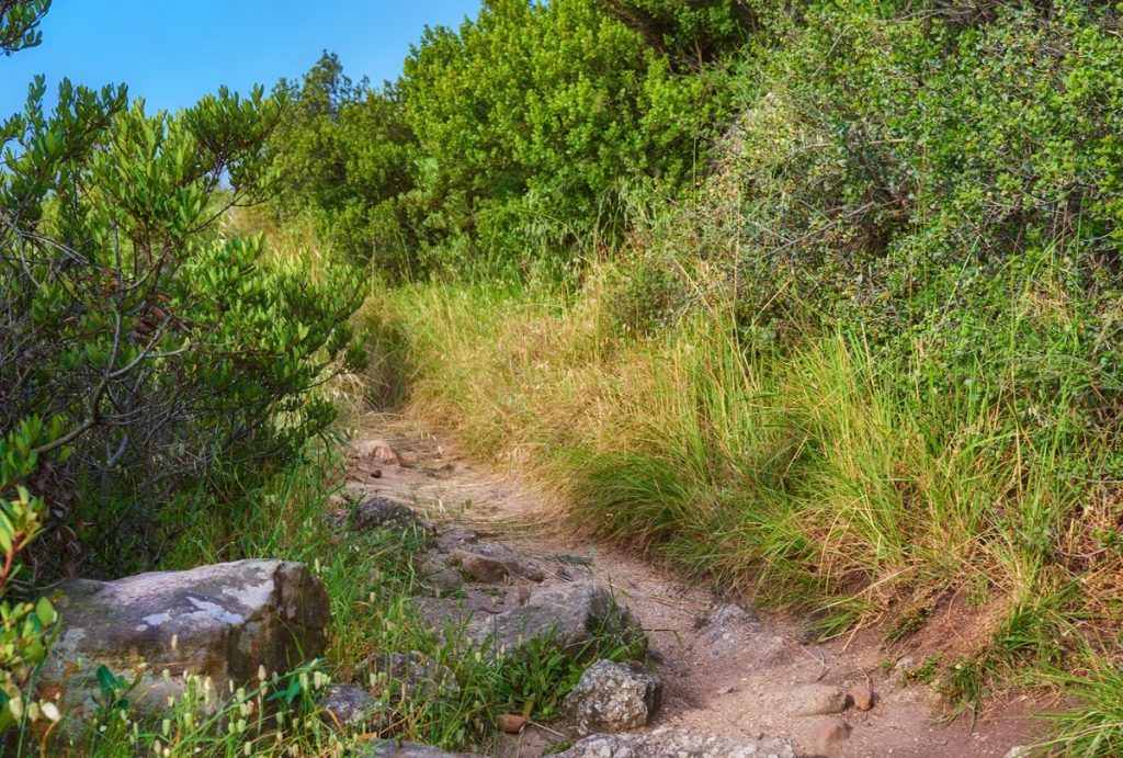 Sentier sur la montagne de la Table